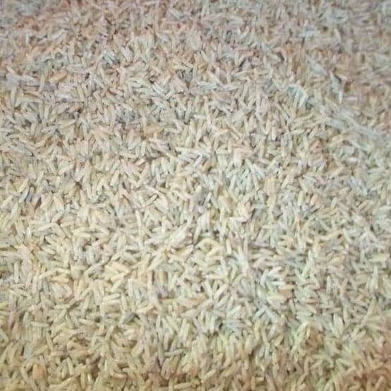 Telor Jangkrik Super - Telor Jangkrik Alam