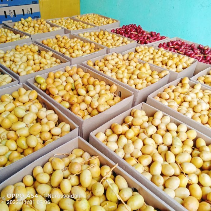 

Terlaris Kurma Muda Promil Kuning 1 Kg Fresh Ready Stok