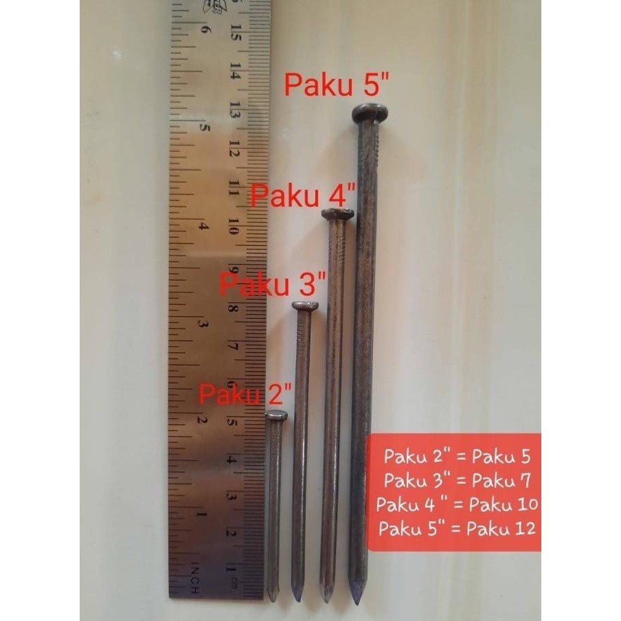 Paku Kayu Dus New