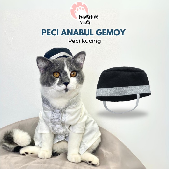 

PECI KUCING - Peci Anabul Spesial Moment Ramdhan / Lebaran Idul Fitri 2024 - Pet Hat - Peci Lucu Murah Untuk Kucing - Aksesoris Kepala Kucing - Topi Peci Unik Untuk Kucing - Kostum Peci Kucing - Peci Hewan peliharaan - Peci Untuk Kucing Dewasa / Kitten