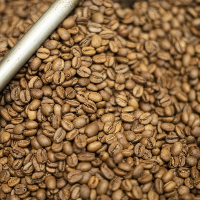

KOPI ARABIKA GAYO WINE BIJI KOPI ACEH SINGLE ORIGIN ARABICA SPECIAL