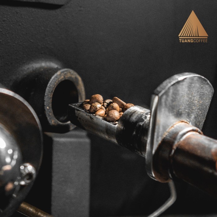 

ROASTED BEAN DIA BLEND TUANG COFFEE (FULL ARABICA) 1KG