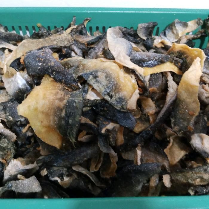 

BARANG TERLARIS keripik kulit ikan patin 1/2 matang 500 gr snack ceriaa