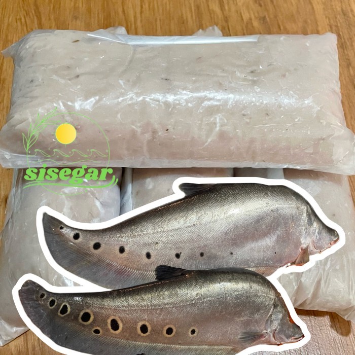 

Ikan Belida Giling Iwak Belido Kutak