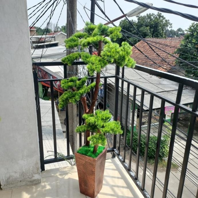 CO Pohon Bonsai Cemara Udang/Bonsai Cemara Udang Artificial/ Pohon Bonsai Tinggi 1,5 m