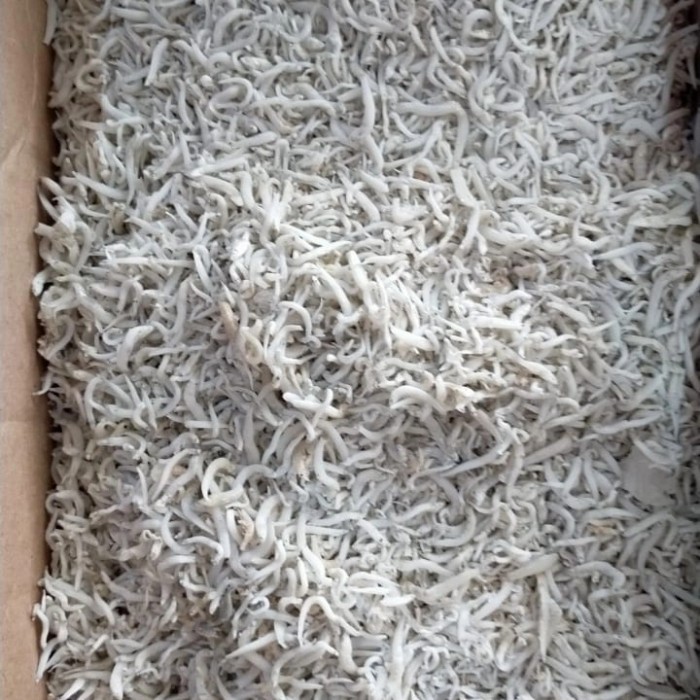 

TERI MEDAN KASAR 1 KG