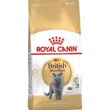 Sale Royal Canin British Shorthair Adult / Royal Canin British Short Hair
