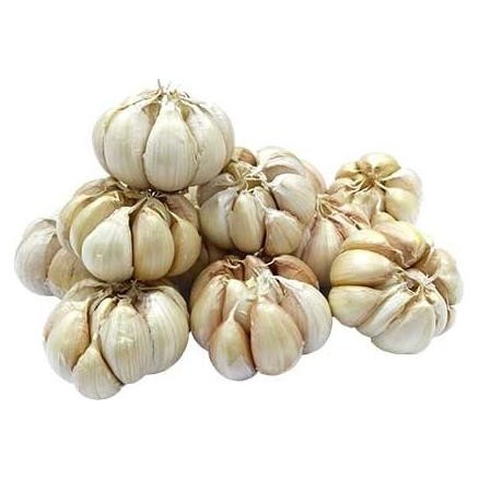 

*****] Bawang Putih Honan Segar / Henan / Banci Bersih / Garlic Cleaned Fresh