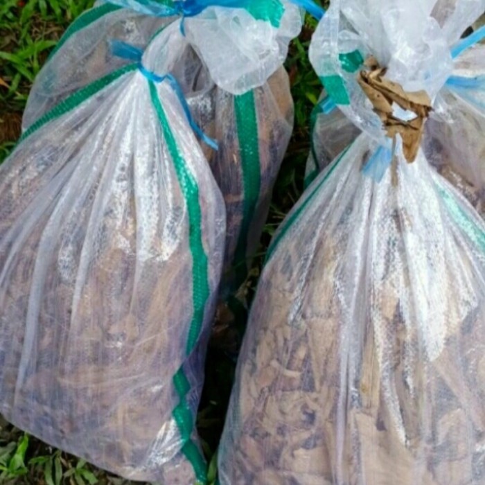 JANGKRIK FRESS HIDUP 1KARUNG KODE 330