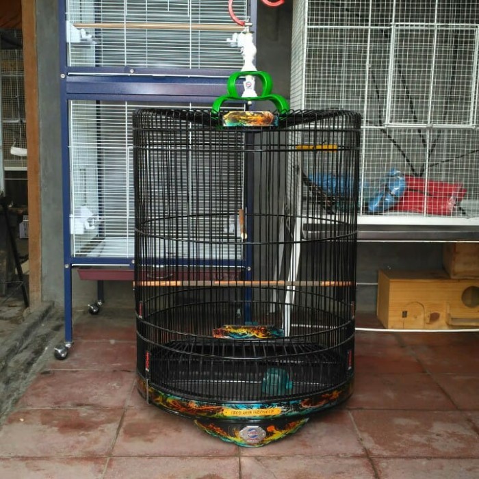 KANDANG BURUNG MURAI EBOD JAYA INDONESIA NO 1 FULL SET KODE 42