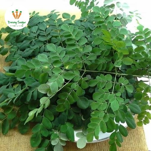 

Daun Kelor Segar - 1 ikat