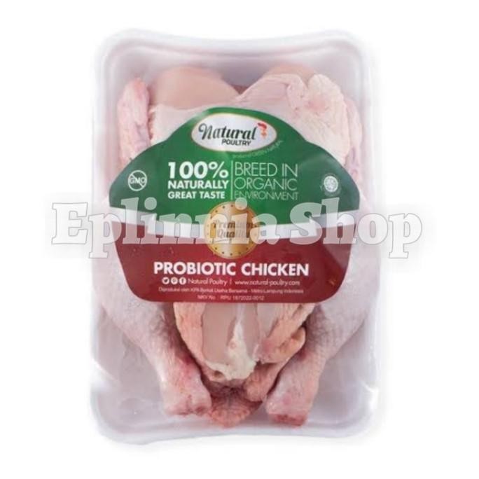 

READY CHICKEN PREBIOTIK NATURAL POULTRY - AYAM BOILER ORGANIK