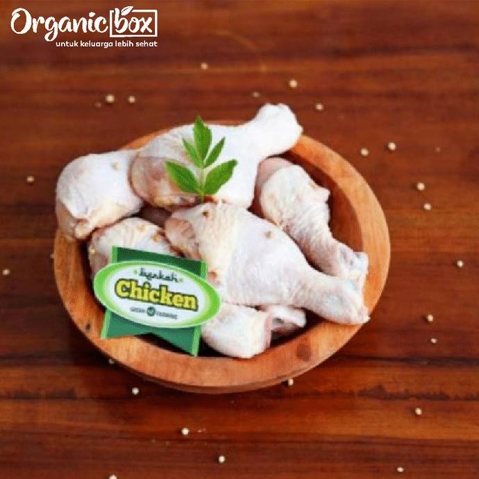 

READY AYAM BERKAH CHICKEN PAHA BAWAH (B)