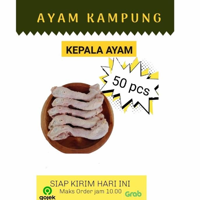 

READY KEPALA AYAM (AYAM KAMPUNG) PER 50 PCS