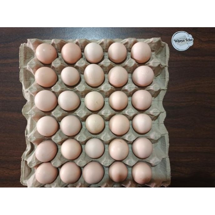 

READY TELUR AYAM KAMPUNG 1 TRAY ISI 30 BUTIR