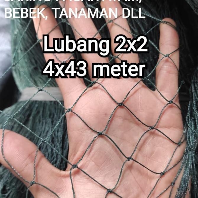 

READY JARING PAGAR AYAM 4X43 METER LUBANG 2X2 BISA UNTUK PAGAR TANAMAN DLL