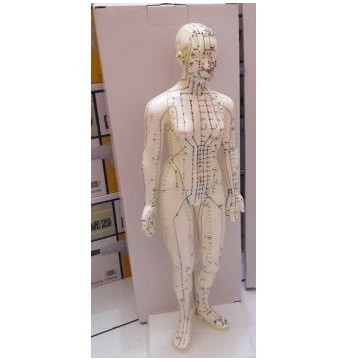 

Patung Akupuntur Model WANITA / Boneka Titik Titik Akupuntur
