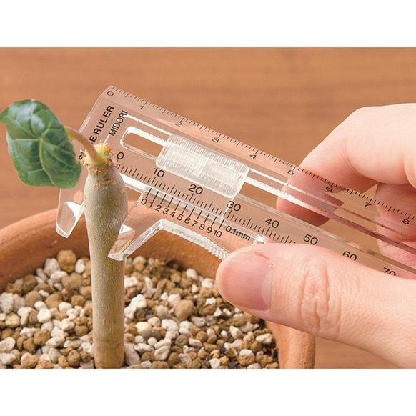 

Midori Slide Ruler Measure Thickness Penggaris Pengukur Ketebalan TM