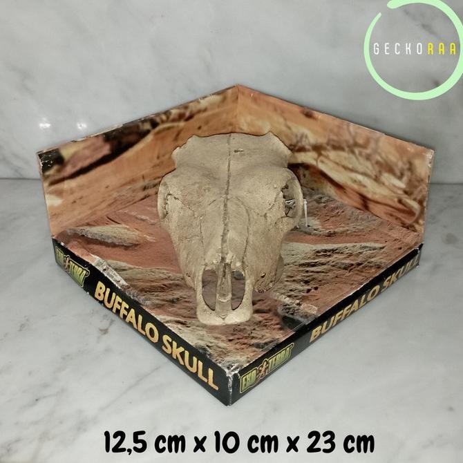 Exoterra Buffalo Skull Tengkorak Kerbau Hiding Cave Hiasan Kandang Reptil Gecko Aft Bd Original Dan 