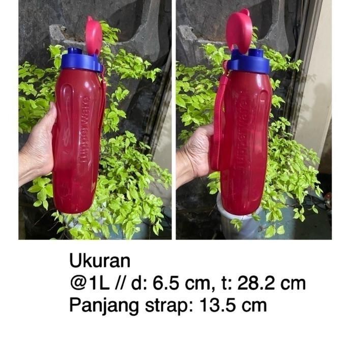 Tupperware Botol Minum Ukuran 1 Liter Original Dan Terpercaya