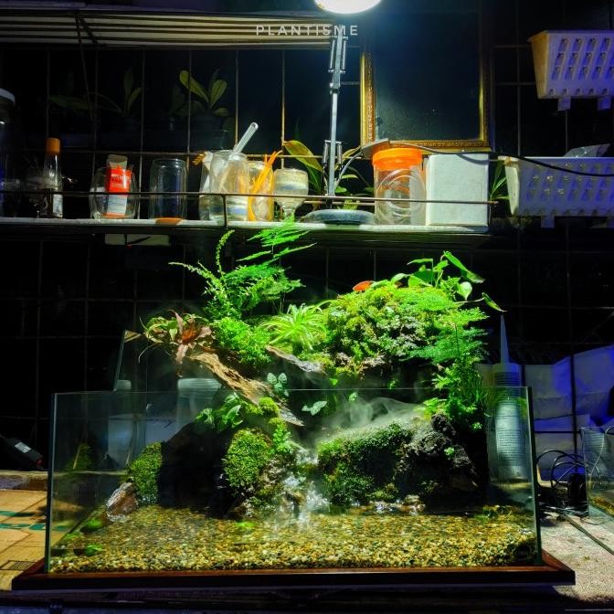 TERMURAH - 50x50x20 River Paludarium Fullset Kandang Hewan Air Axolotl Salamander