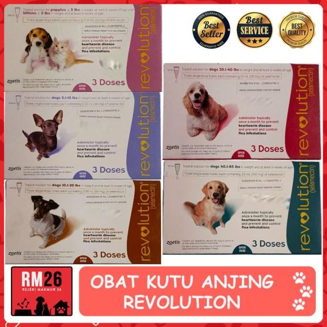 OBAT KUTU TETES UNTUK ANJING REVOLUTION