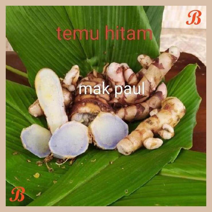 

| MP | TEMU IRENG HITAM FRESS 1KG DI AMBIL SAAT AKAN DI KIRIM ORGANIK ASLI