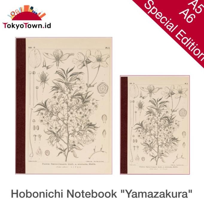 

Hobonichi Plain Notebook Yamazakura Tomoe River