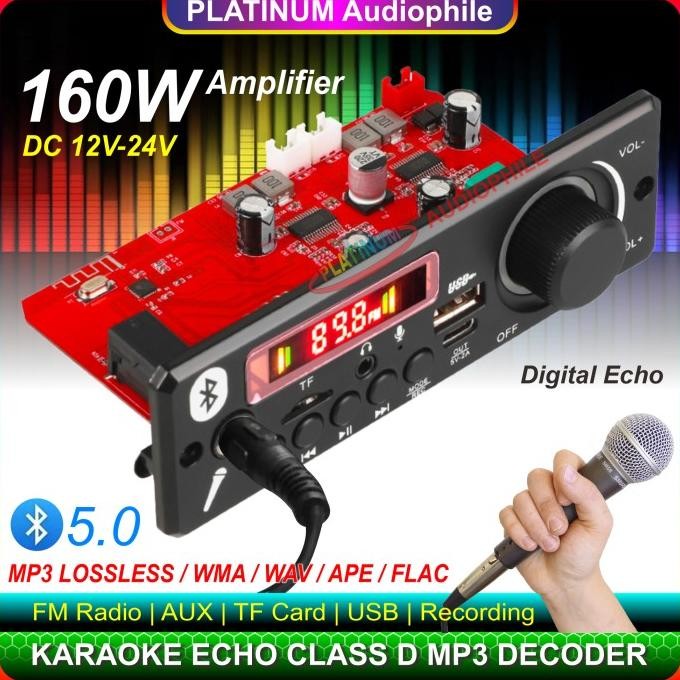 NEW Modul MP3 Bluetooth Karaoke Microphone Echo Class D Amplifier 160W