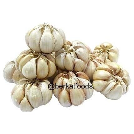 

Termantab] Bawang Putih Honan 1Kg Segar / Henan / Banci Bersih / Garlic / Lahasun
