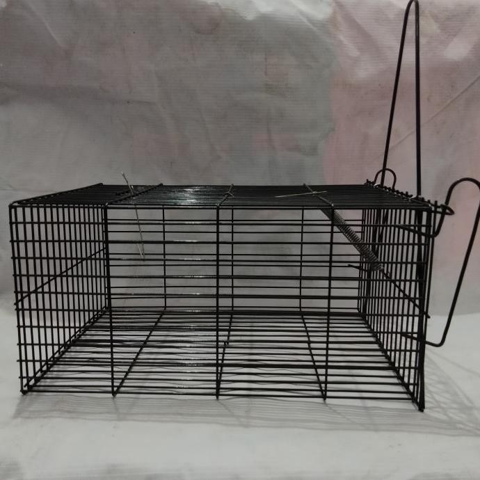 Jebakan Tikus Besar Perangkap Kurungan Tikus Kawat Baja