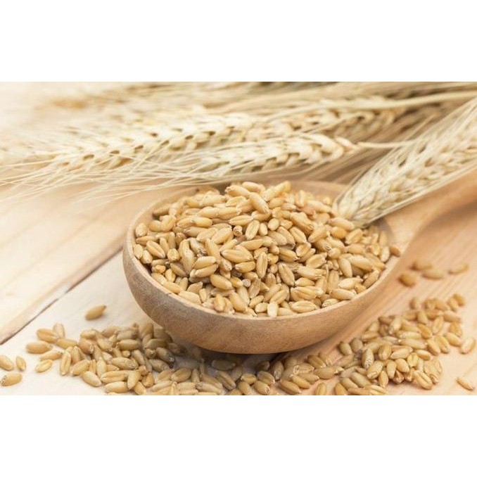 

(Good) Biji Jali Jali / Barley Organik / Pearl Barley ( 1kg )
