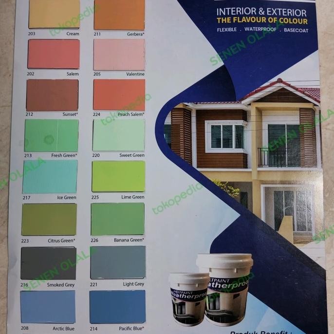 cat tembok meltpaint weatherproof 20kg