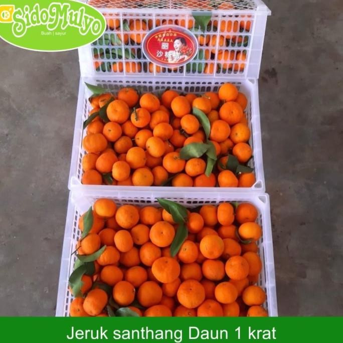 

1 Kranjang Jeruk Santang daun ( 8Kg ) TA