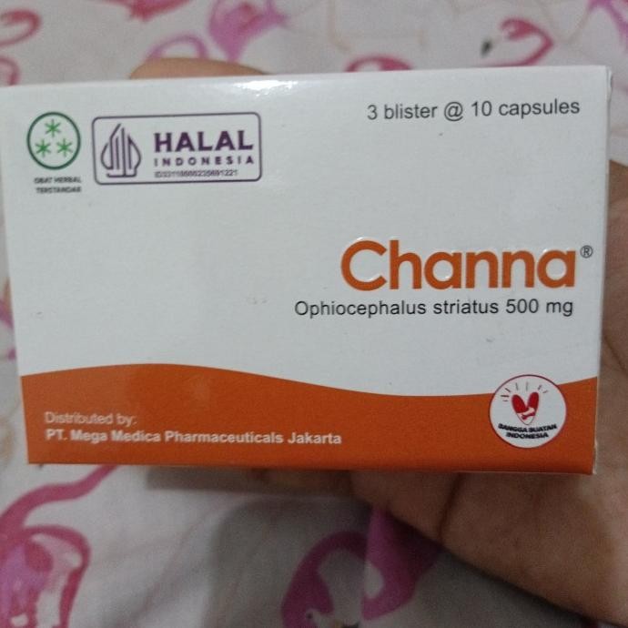 KAPSUL CHANNA STRIATA, CHANA KAPSUL IKAN GABUS 1 BOX 30 KAPSUL