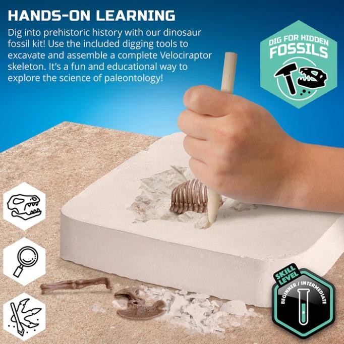 Discovery Mindblown Dinosaur Fossil Dig Velociraptor Excavation Kit murah