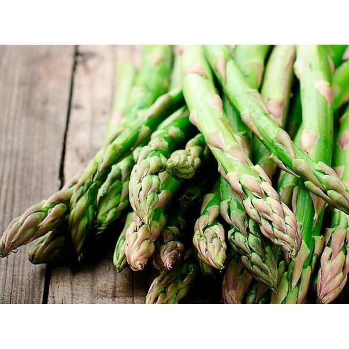 Benih / Bibit / Biji - Asparagus F1 Varietas UC800 Hibrida - IMPORT murah