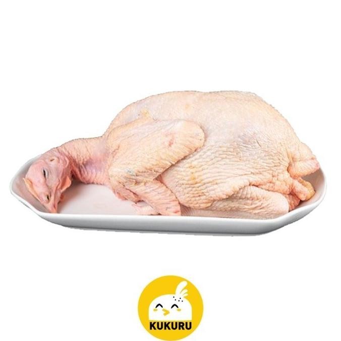 

(Good) AYAM KAMPUNG UTUH UKURAN SEDANG/MEDIUM 0,8-0,9 KG