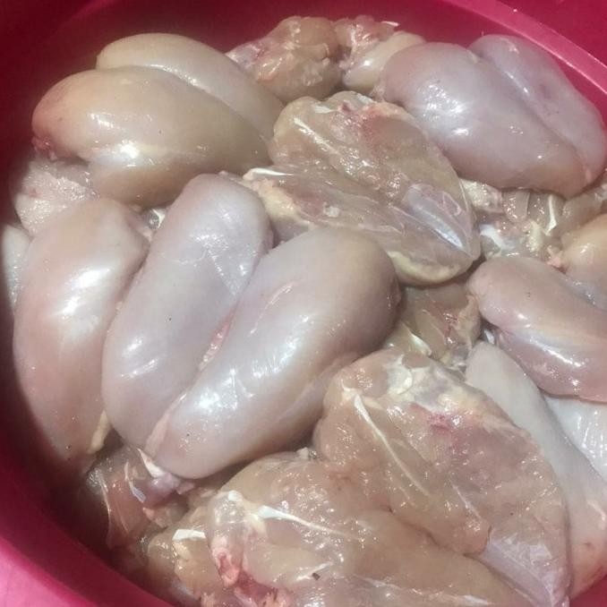 

(Good) filet dada ayam segar