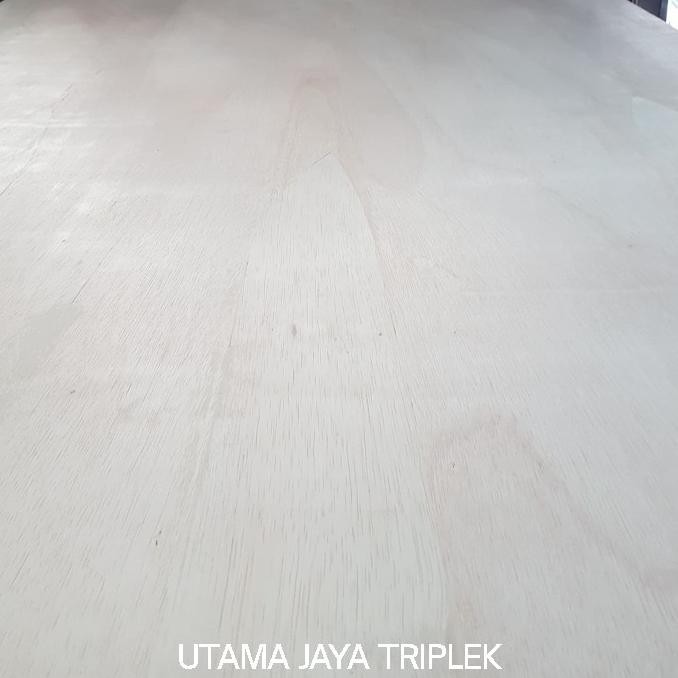 triplek cor 12 mm termurah  CS81