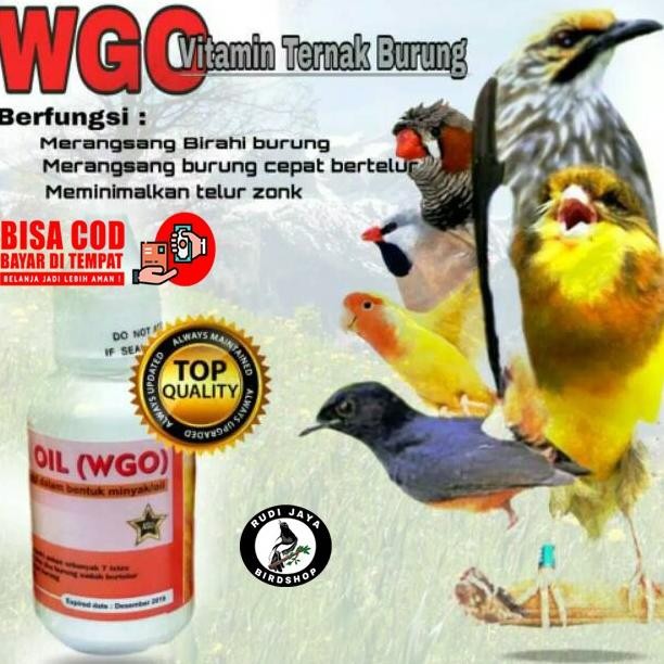 TR21 WGO BOTOL PUTIH KARDUS KUNING SUPLEMEN DOPING VITAMIN TERNAK SEMUA BURUNG WHEAT GERM OIL MINYAK