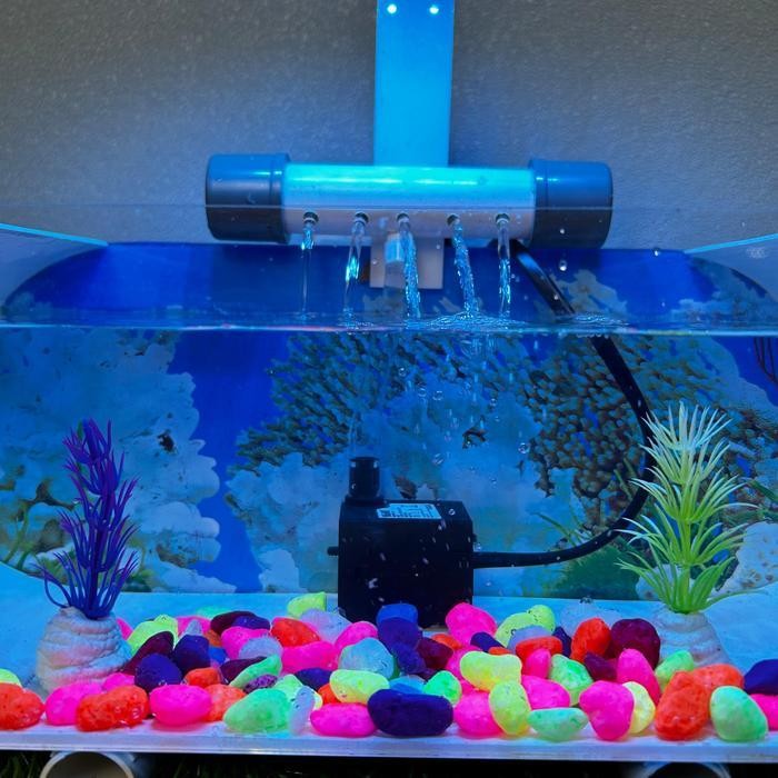 Akuarium Mini Background Transparan Fullset Ukuran 30X11,5Cm Akrilik Aquarium Aquascape Full Set Pal