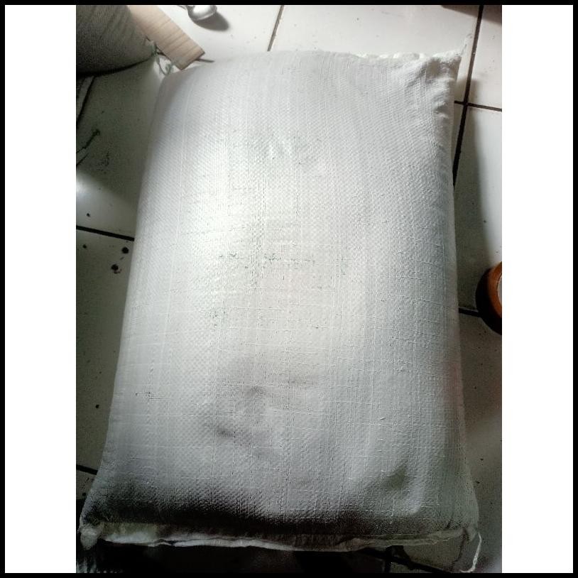 

Ready Kacang Hijau Sioci 1 Karung {Terlaris|Best Seller}