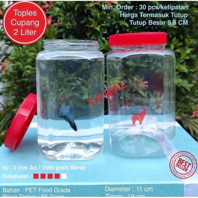 (Good) Toples Plastik Kotak Ikan Cupang 2 Liter Tebal