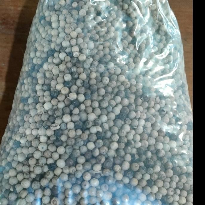 

Lada Putih Merica Bulat Utuh Kemasan 1kg murah