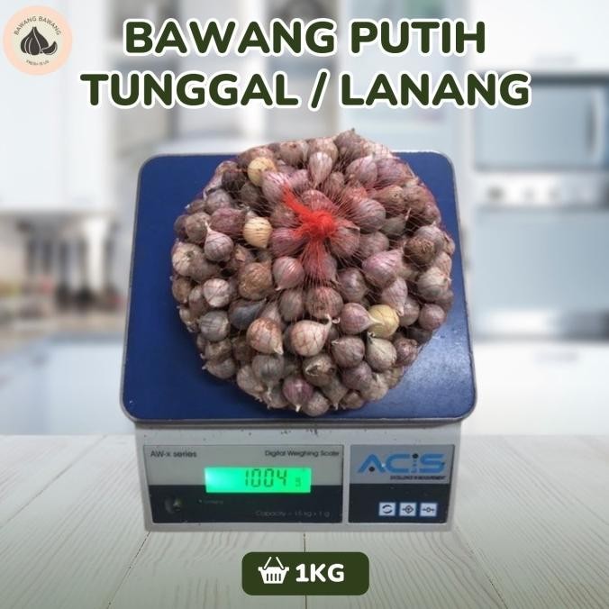 

Bawang Putih Tunggal Lanang Kecil 1Kg [terbaik]