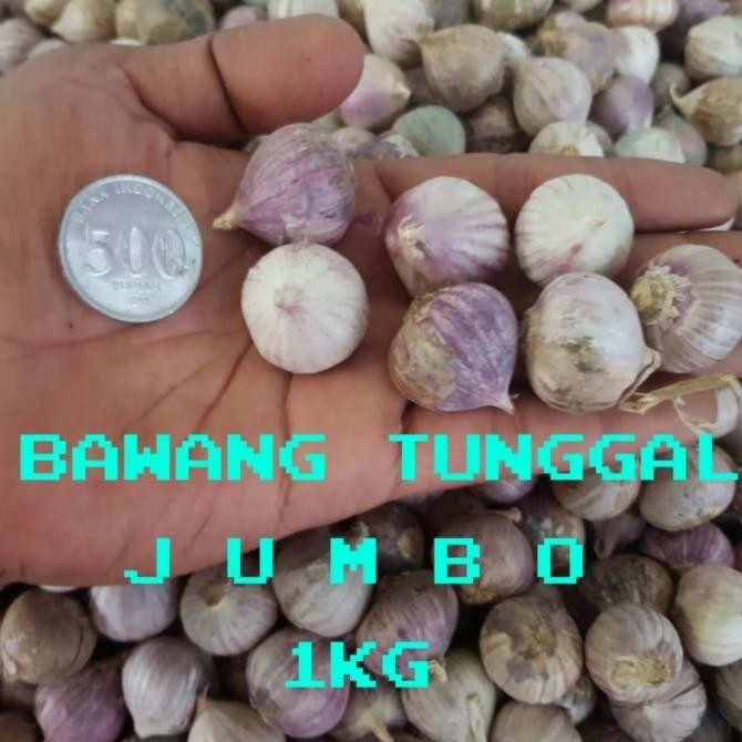 

BAWANG PUTIH TUNGGAL/BAWANG LANANG 1KG murah