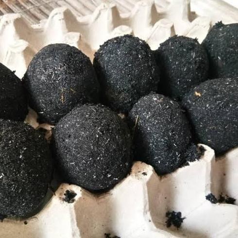 

Bisa Cod Telur Asin Mentah _ 3 Butir