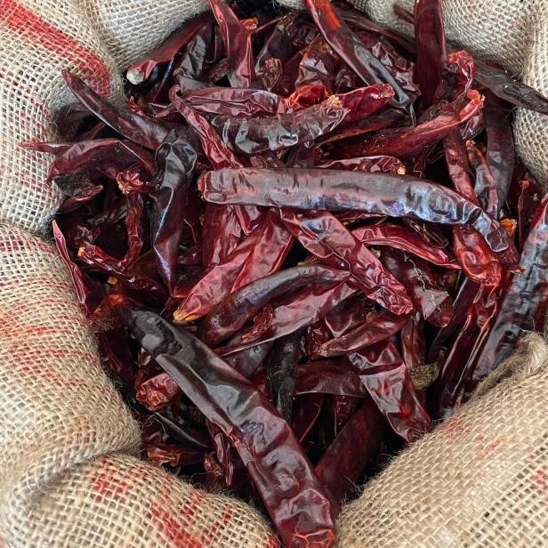 

Cabe Ering Merah Bear Wonder Hot 1 G