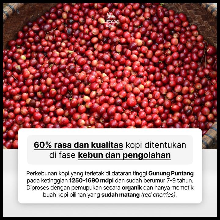 

Kopi Puntang, Kopi Arabika Natural Terbaik Juara Kksi 2019 500G Original Best Seller